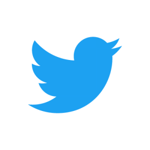 Twitter Chatbot Logo